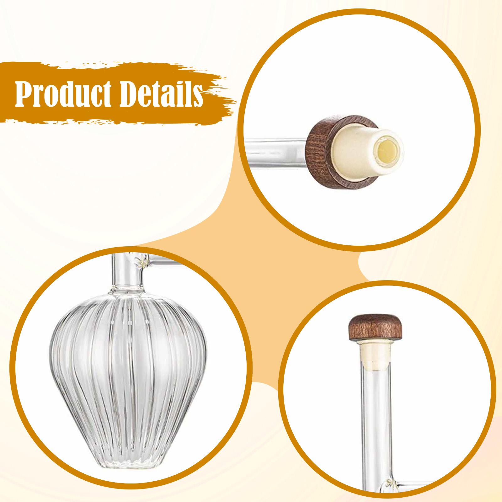Fast Pouring Portable Decanter - Wine Aerator Pour review and price